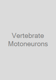 Vertebrate Motoneurons