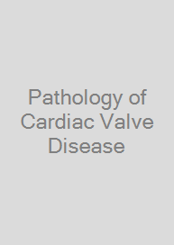 Cover Pathology of Cardiac Valve Disease