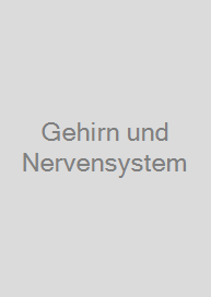 Cover Gehirn und Nervensystem