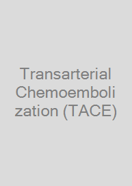 Transarterial Chemoembolization (TACE)