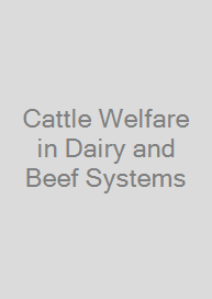 Cattle Welfare in Dairy and Beef Systems