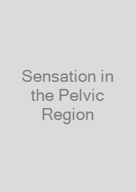 Cover Sensation in the Pelvic Region