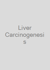Liver Carcinogenesis