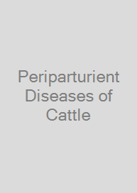 Periparturient Diseases of Cattle