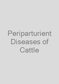 Cover Periparturient Diseases of Cattle
