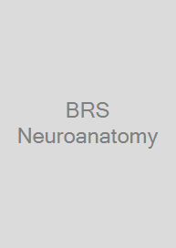 BRS Neuroanatomy
