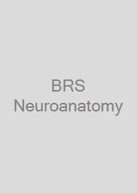 Cover BRS Neuroanatomy