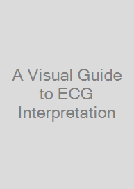 Cover A Visual Guide to ECG Interpretation