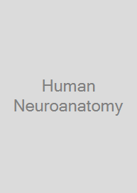 Cover Human Neuroanatomy