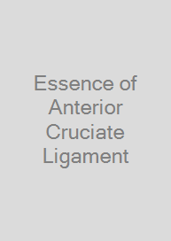 Cover Essence of Anterior Cruciate Ligament