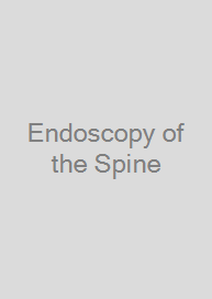 Cover Endoscopy of the Spine