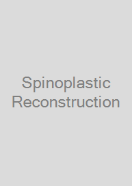 Spinoplastic Reconstruction