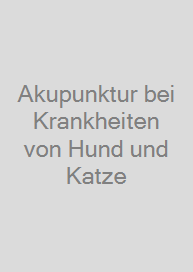 Akupunktur bei Krankheiten von Hund und Katze