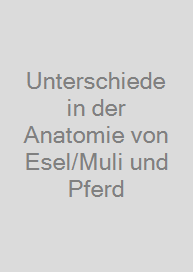 Cover Unterschiede in der Anatomie von Esel/Muli und Pferd