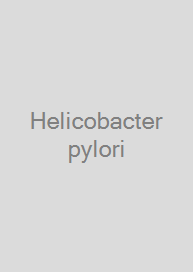 Helicobacter pylori