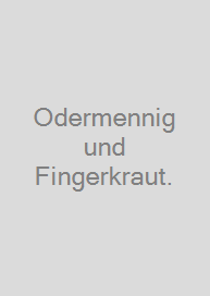 Odermennig und Fingerkraut.