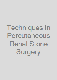 Cover Techniques in Percutaneous Renal Stone Surgery