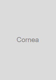 Cover Cornea