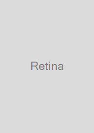 Retina