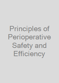 Cover Principles of Perioperative Safety and Efficiency