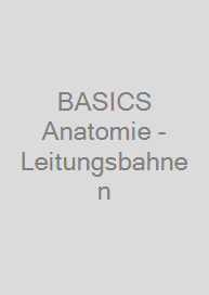 BASICS Anatomie - Leitungsbahnen