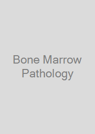 Bone Marrow Pathology