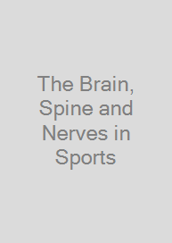 The Brain, Spine and Nerves in Sports