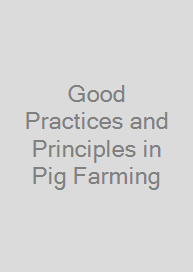 Cover Good Practices and Principles in Pig Farming