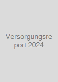 Versorgungsreport 2024