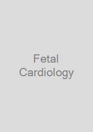 Fetal Cardiology