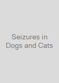 Seizures in Dogs and Cats