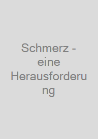Cover Schmerz - eine Herausforderung